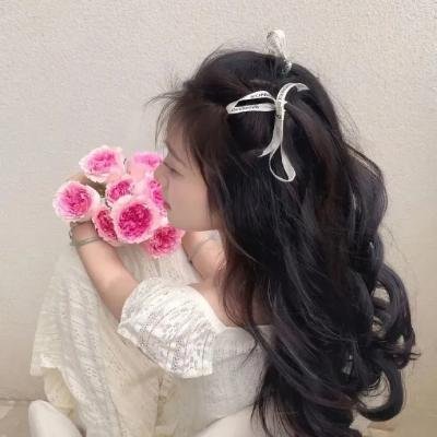 完美敌人